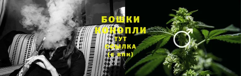 Конопля THC 21%  Электрогорск 